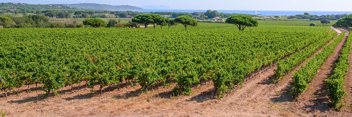 Visuel panoramique Var - Côte D'Azur
